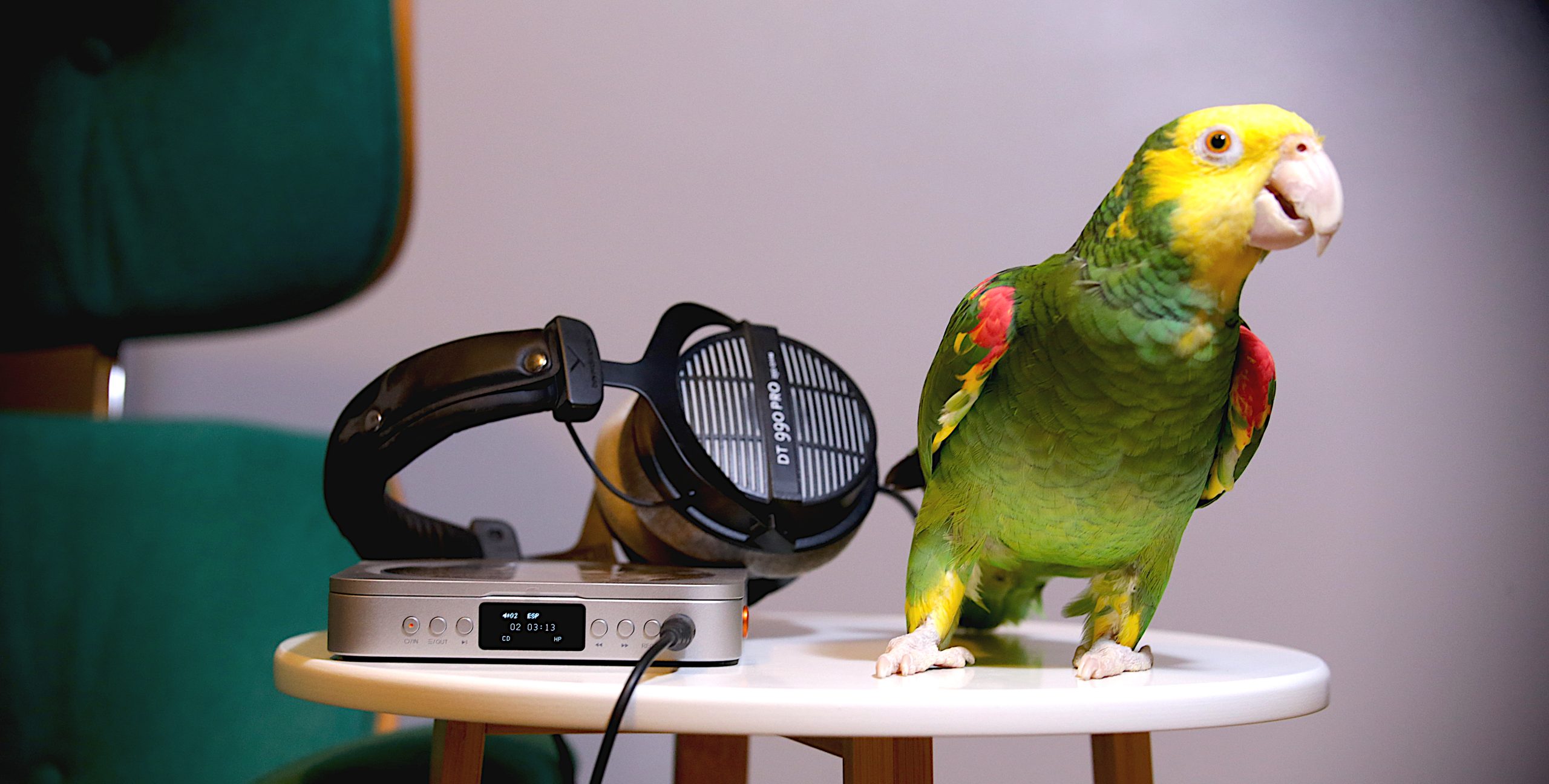 merak cd player